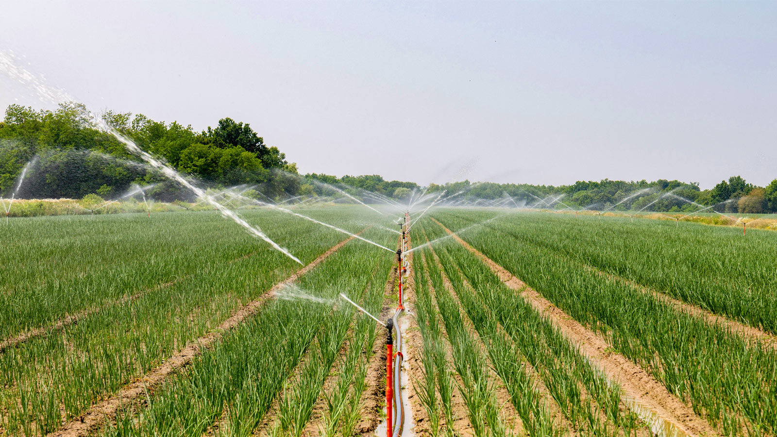 Agricultural Irrigation solutions